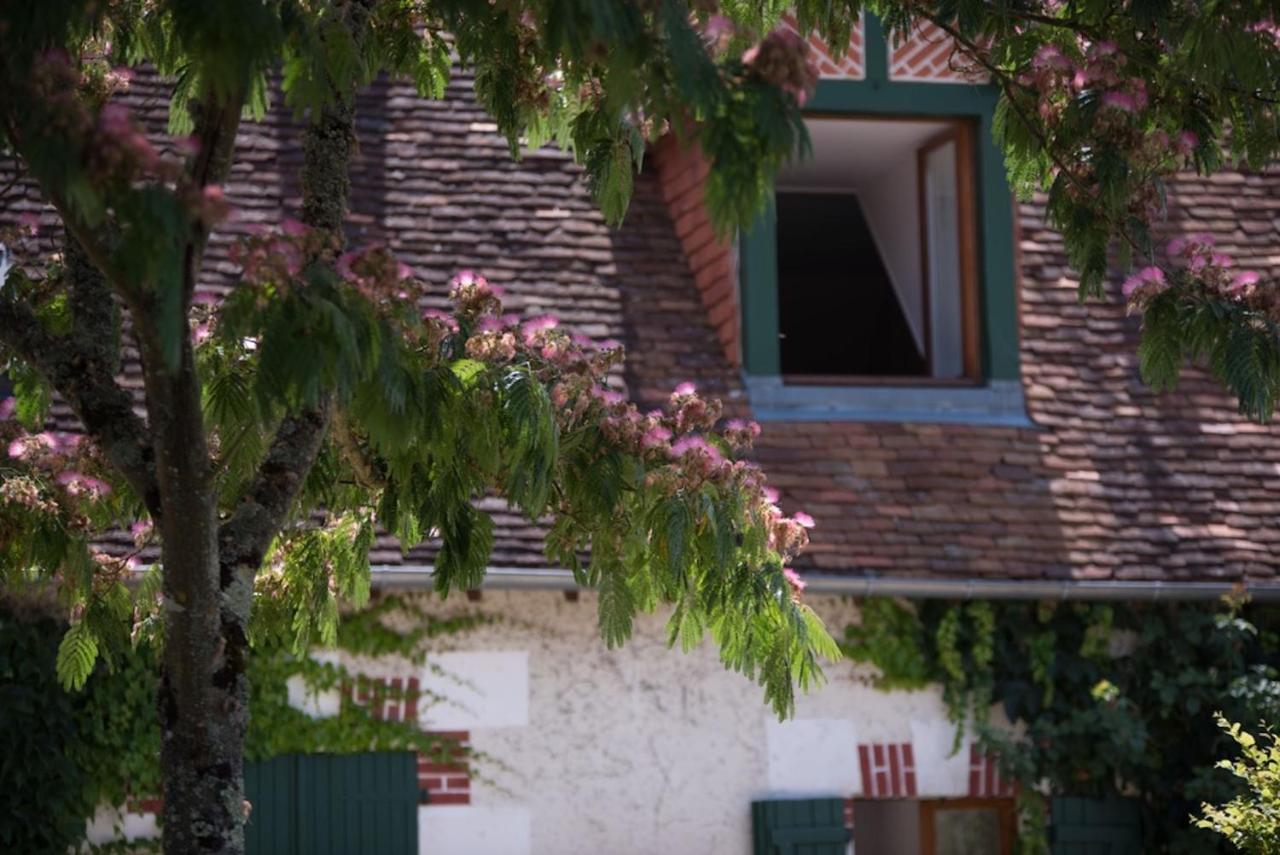 La Demalerie Bed & Breakfast Cheverny Exterior foto
